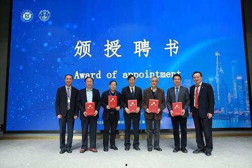 东方国际爆料新闻最新,最新热点事件深度解析